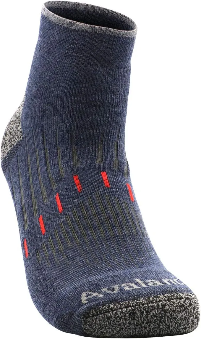 Avalanche Men's Smooth Glide Everyday Performance Low Cut Socks 2-Pack